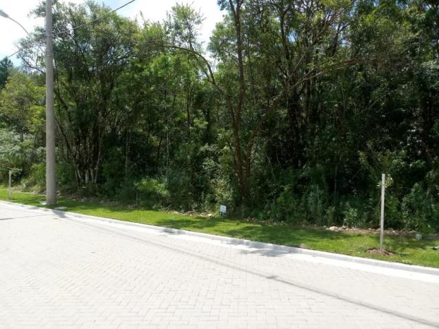 Terreno à venda, 724 m² por r$ 328.510,65 - prinstrop - gramado/rs - Foto 4