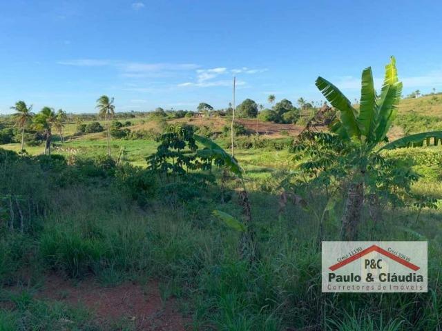 Ótima propriedade em Glória do Goitá, com 1,5 hectare - Foto 10