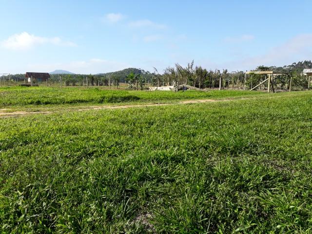 Terreno Plano Lindo Demais para Montar sua Chácara - Foto 7