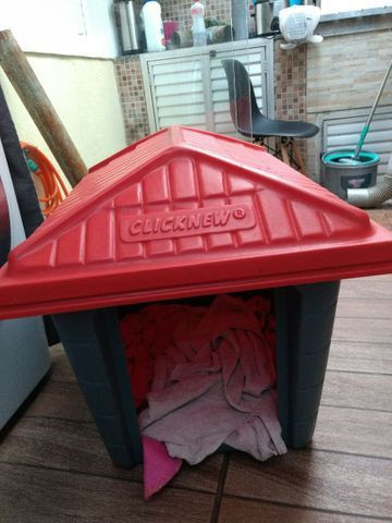 Casa de cachorro