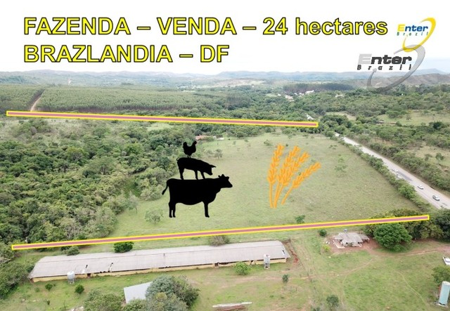 Fazenda para Venda - RA IV Brazlândia / DF no bairro Centro, 4 dormitórios,  sendo 2 suítes, 4 banheiros, área total 450.000,00 m², área construída  450.000,00 m², área útil 450.000,00 m², terreno 450.000,00 m²