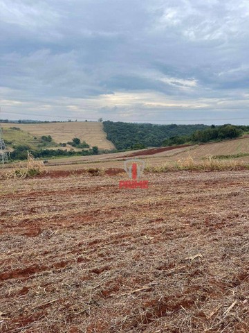Fazenda à venda, 1694000 m² por R$ 45.200.000,00 - Rural - Sertaneja/PR - Foto 5