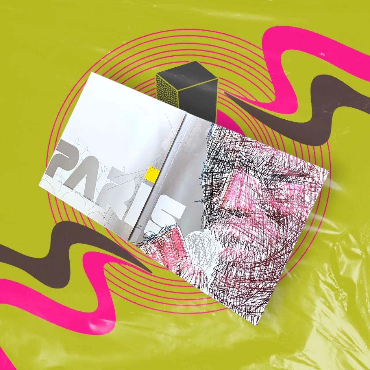 DVD Seal | LIVE IN PARIS - Foto 2