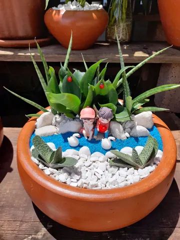 Minis jardins de cactos e suculentas  - Foto 3
