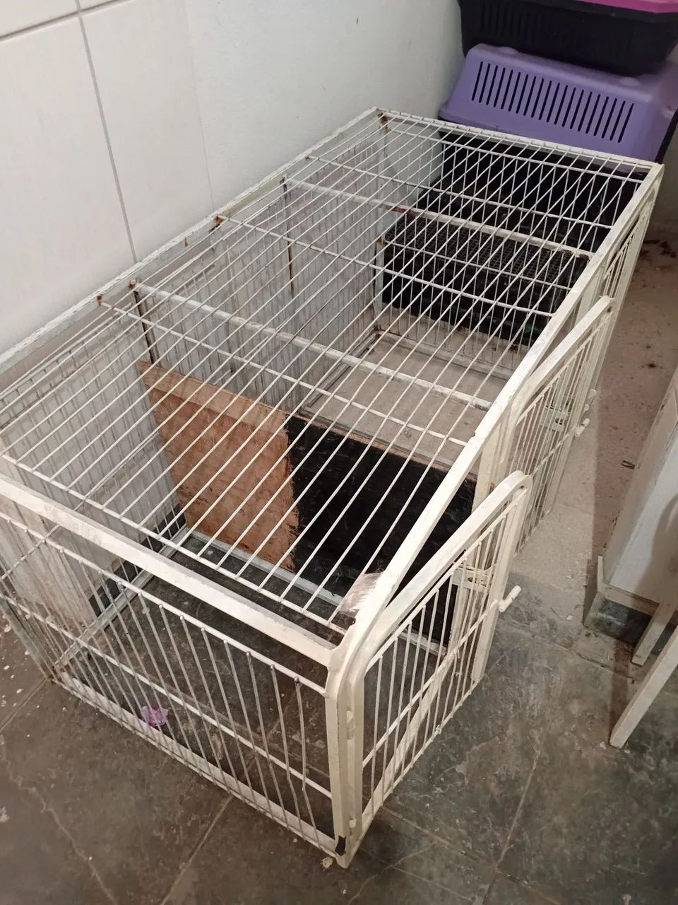 Banho e tosa completo imperdível - Foto 5