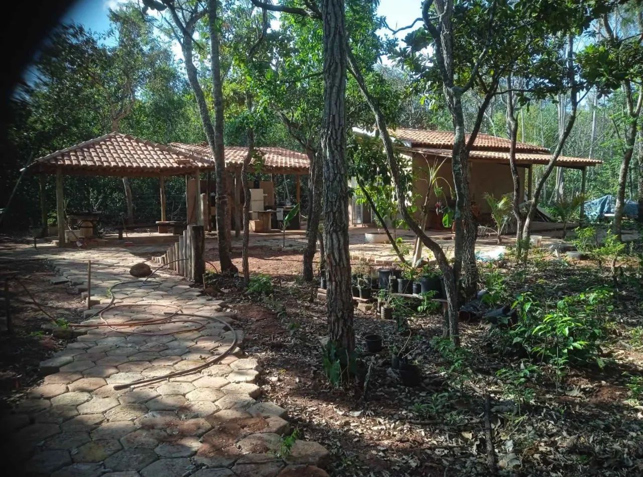 Vendo Chácara em Viana com Urgencia R$90.000 - Foto 4