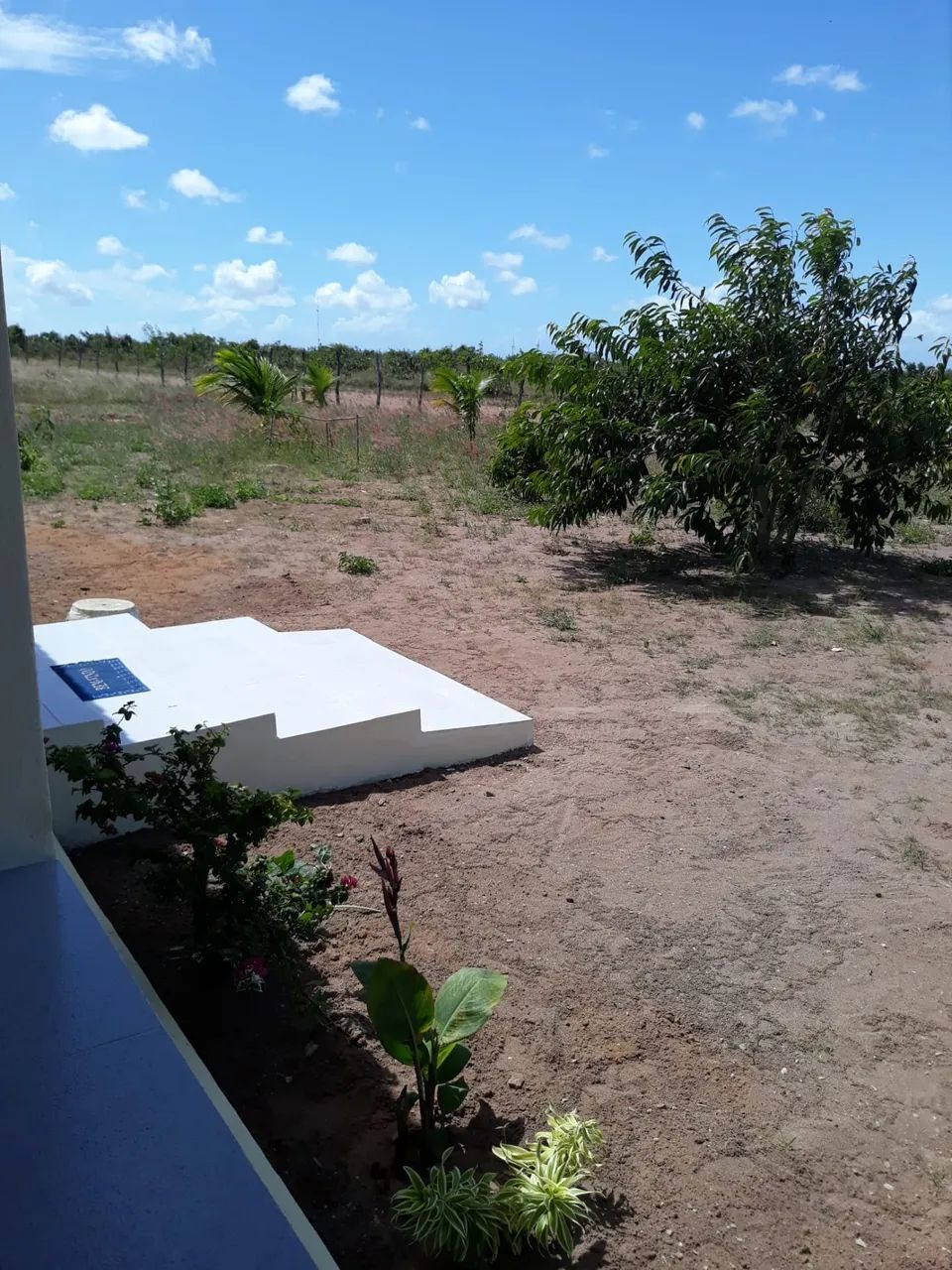 Otima Granja com 3 hectares na região de Ceará Mirim - Foto 3