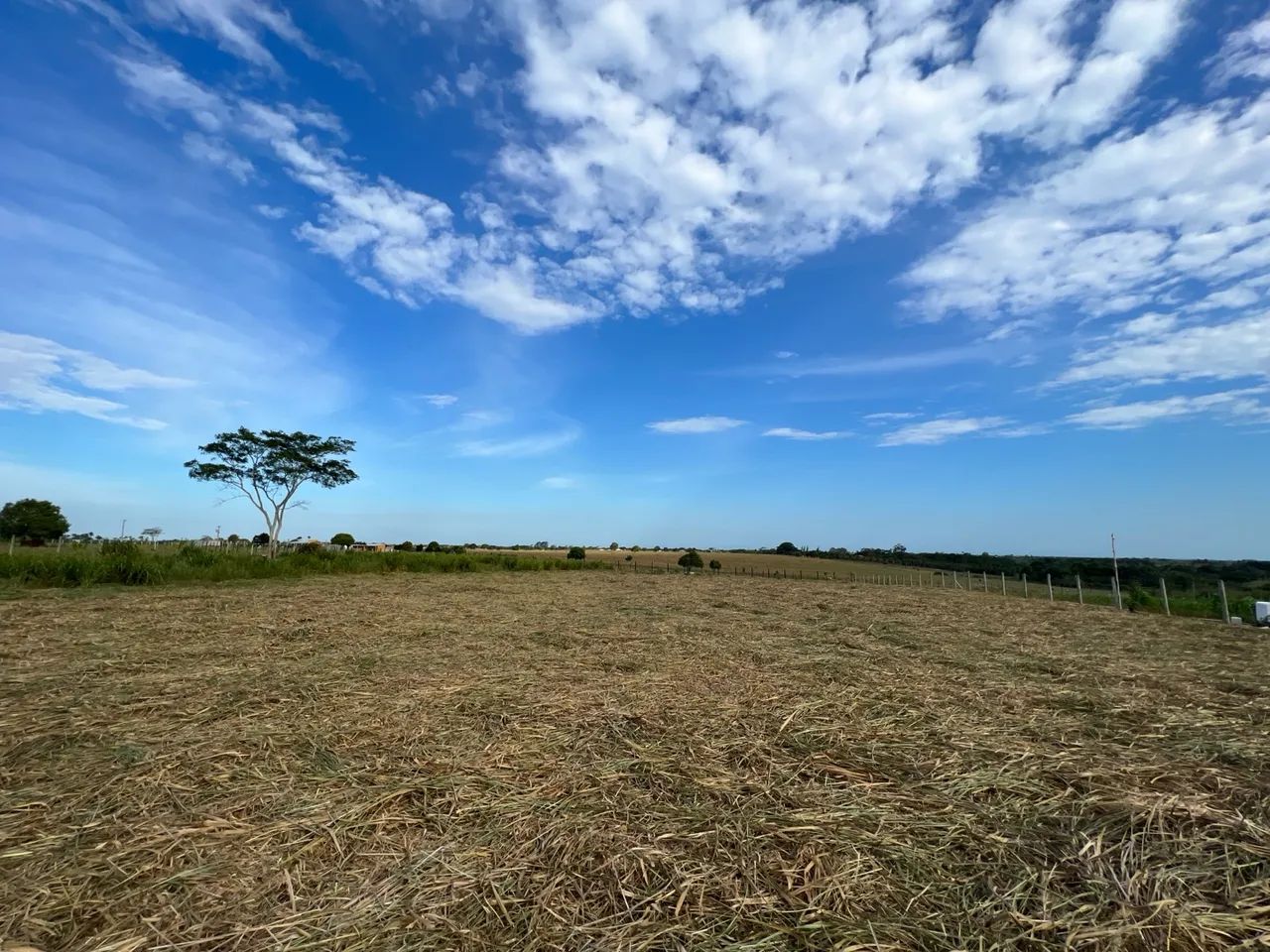 Chácara de 2.500 m ² / próximo da entrada de Morro alto - Quissamã - Foto 4