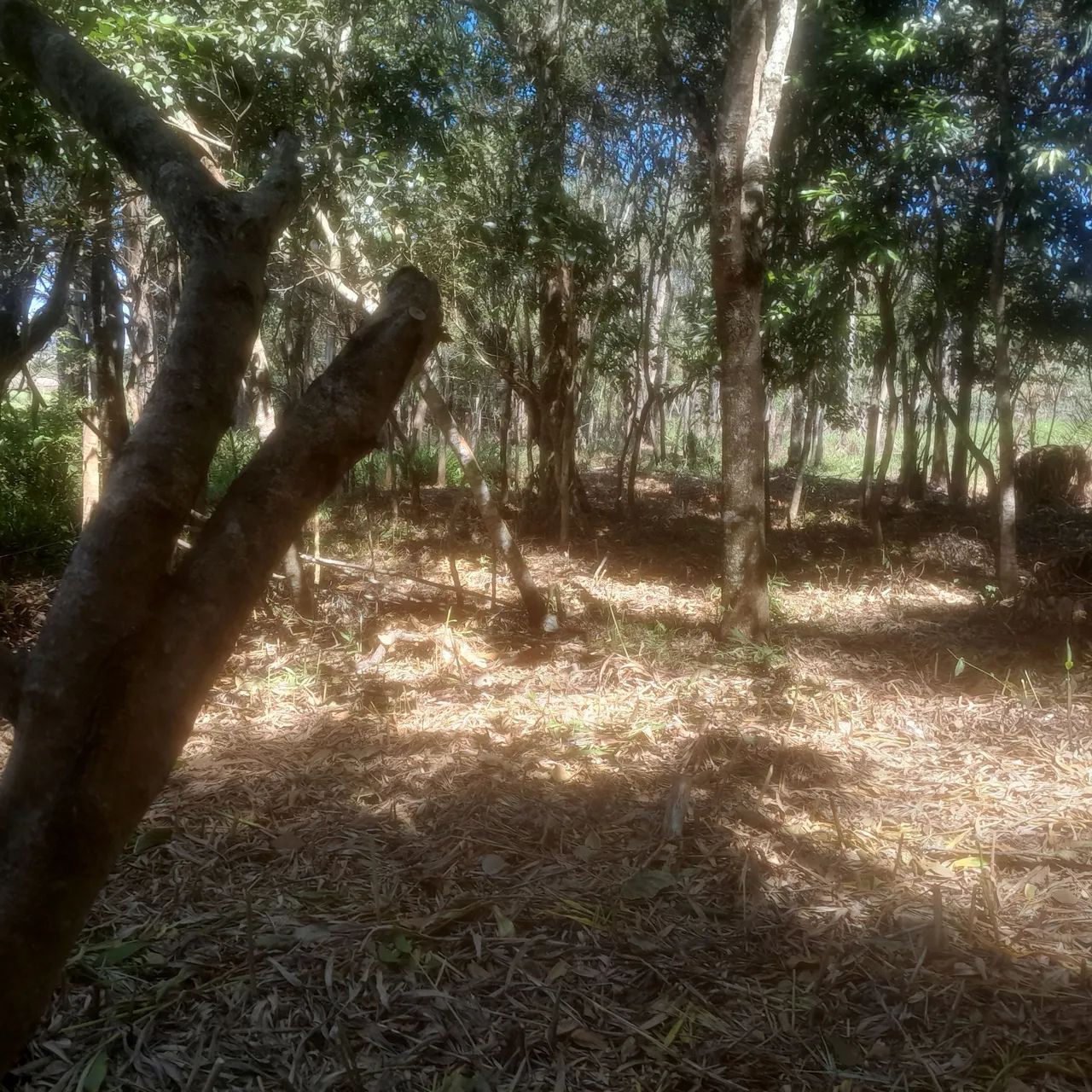 Terreno com água no fundo  - Foto 5