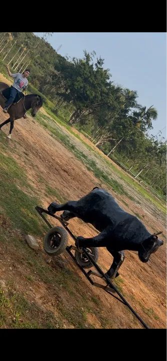 VENDE-SE CAVALO MAQUINA - Foto 6