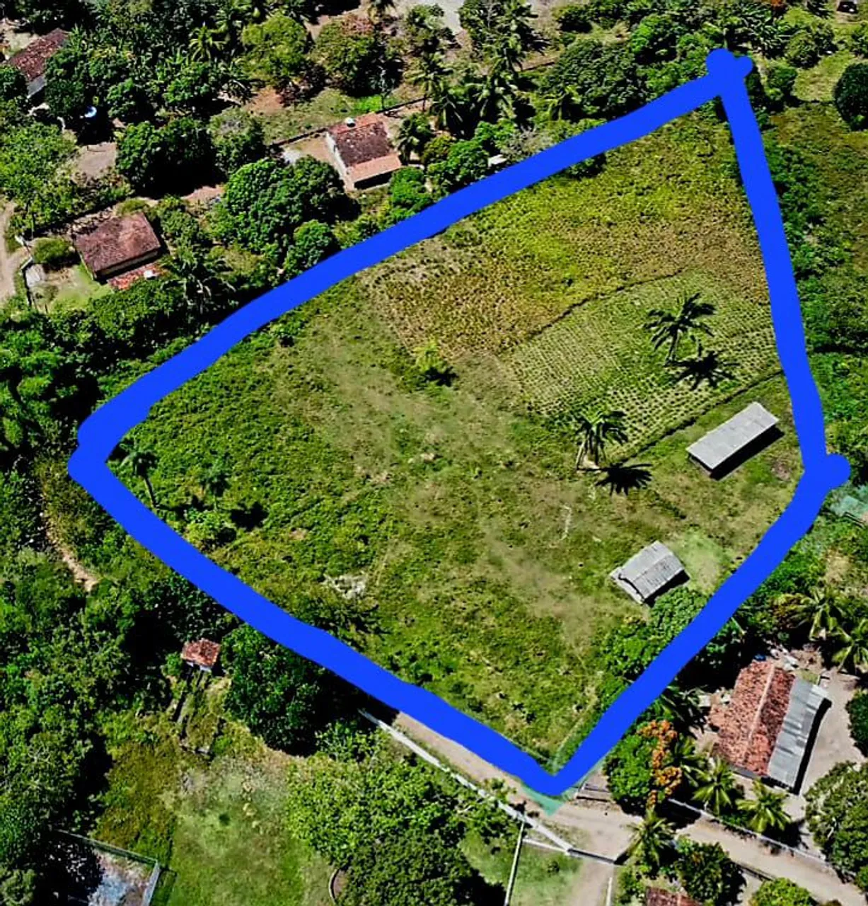 Terreno com 1 hectare ,( por favor leia o anúncio)