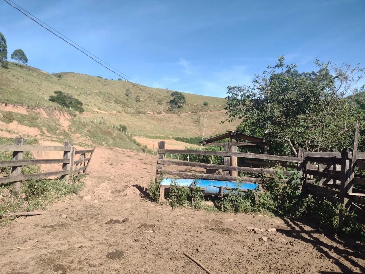 Sítio com casa e área verde em região tranquila - Foto 4
