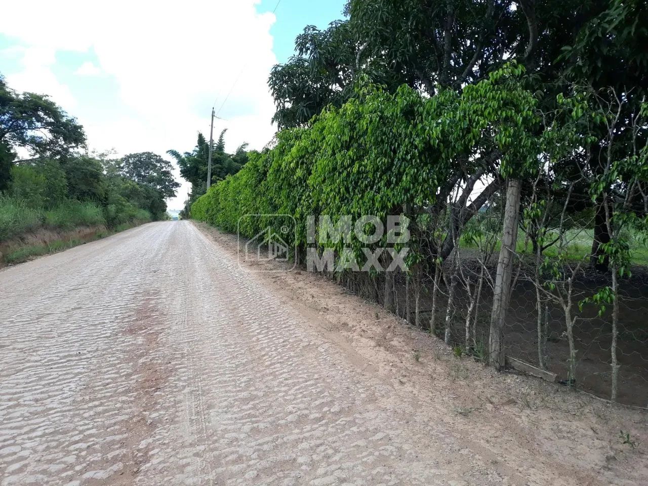 Chácara formada, excelente oportunidade, margem Rio Maranhão, pomar, em Planaltina DF. - Foto 11
