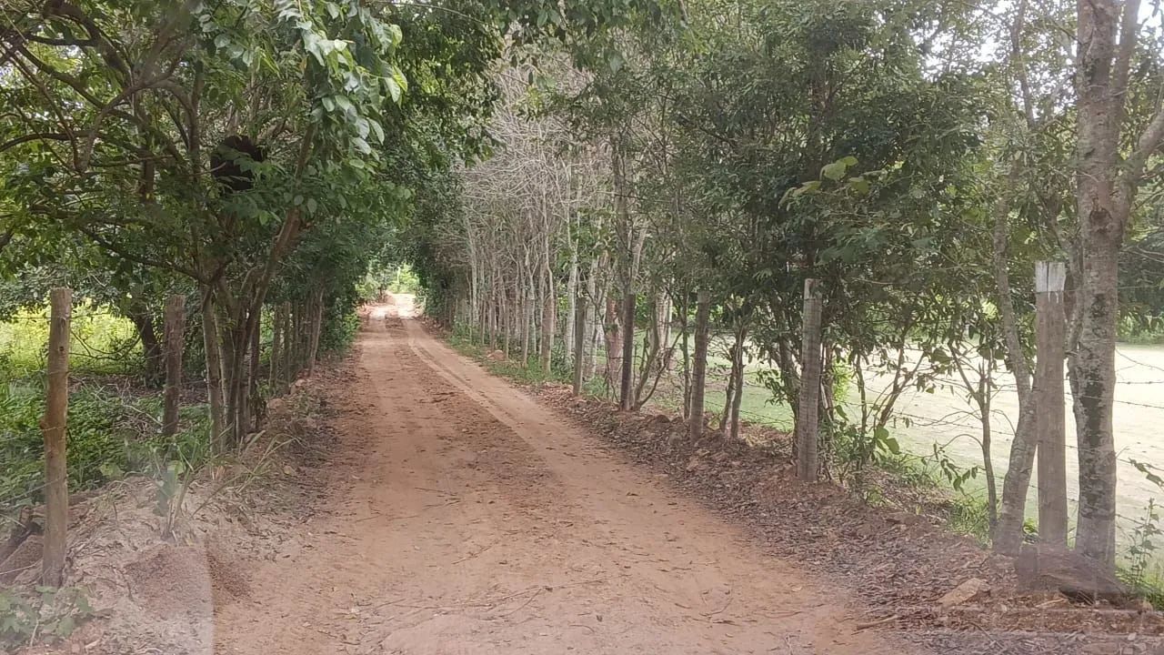 Terreno de chácara 1000m² - Preço baixo - Paraíso particular - Foto 4