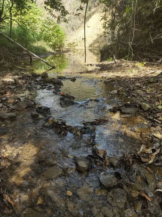 Sítio com rio e natureza exuberante - Foto 3