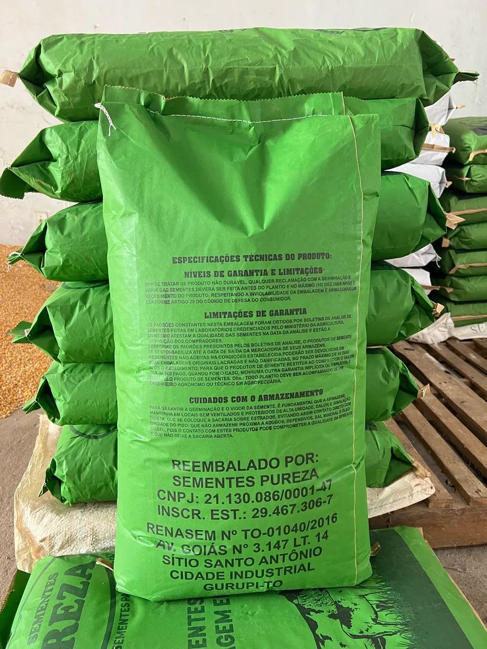 Semente Miyagi  - Foto 2