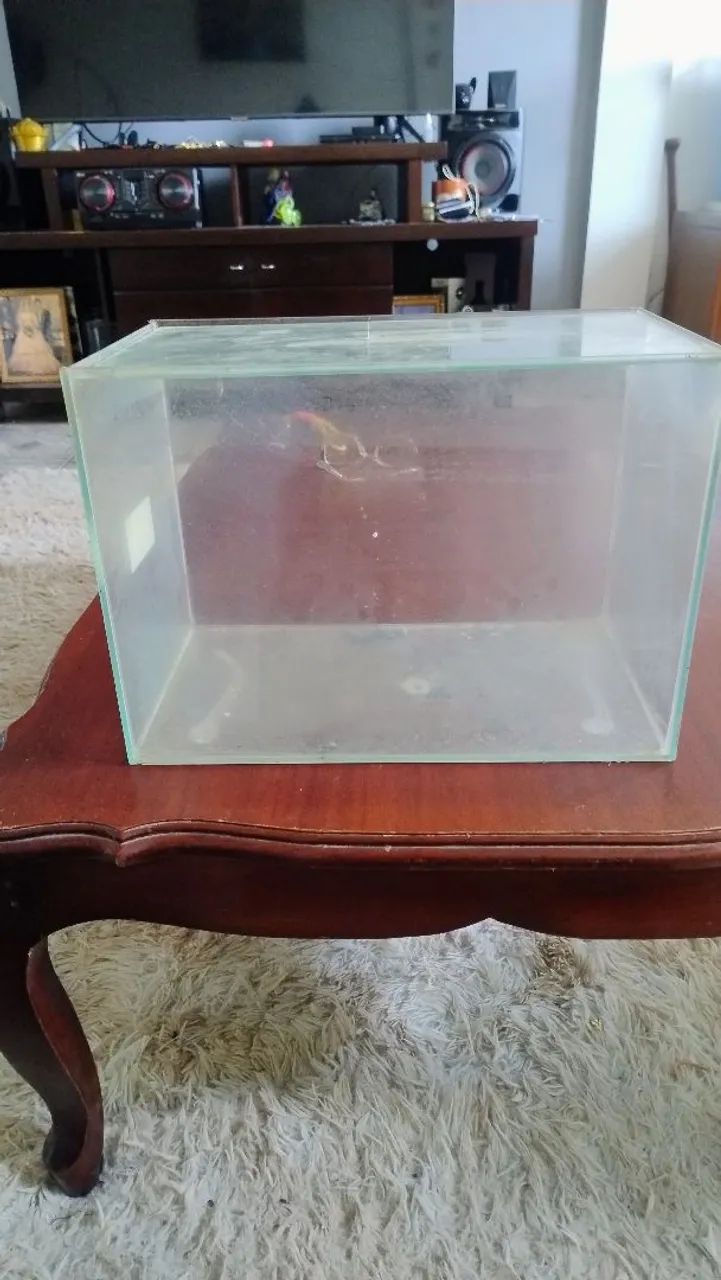 Aquário 17 Litros - Foto 2