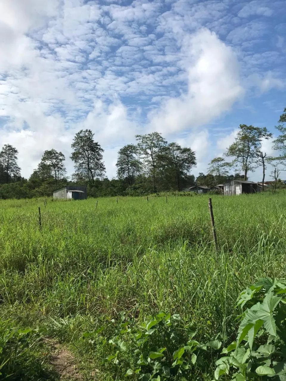 Vende-se este no bairro da aldeia - Foto 2
