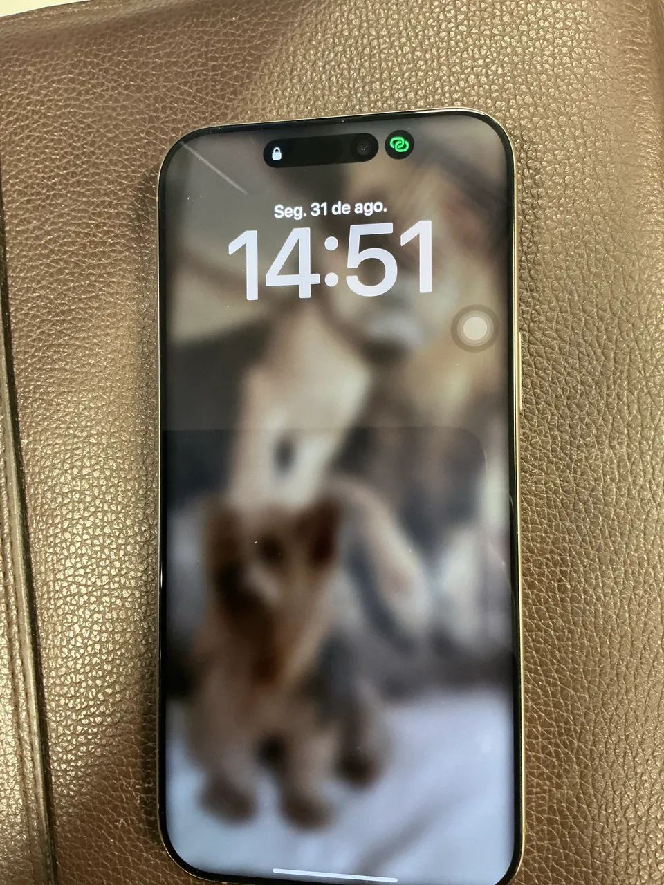 VENDO IPHONE 16 PRO MAX 256GB 