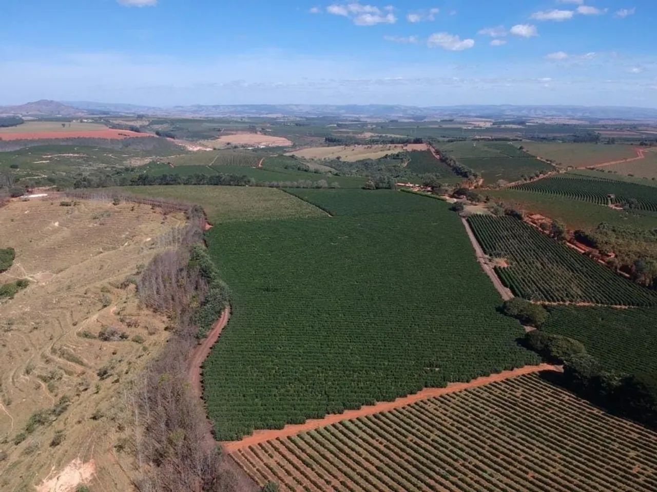 Chácara à venda 1333000M², Centro, Piumhi - MG - Foto 4