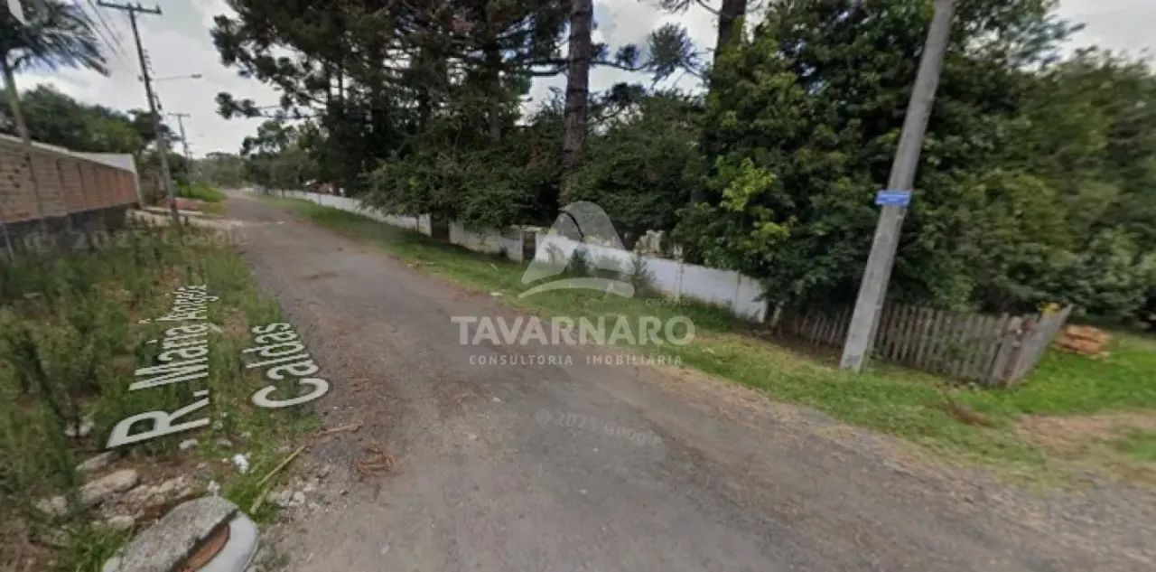 Terreno a venda em Uvaranas - Foto 4