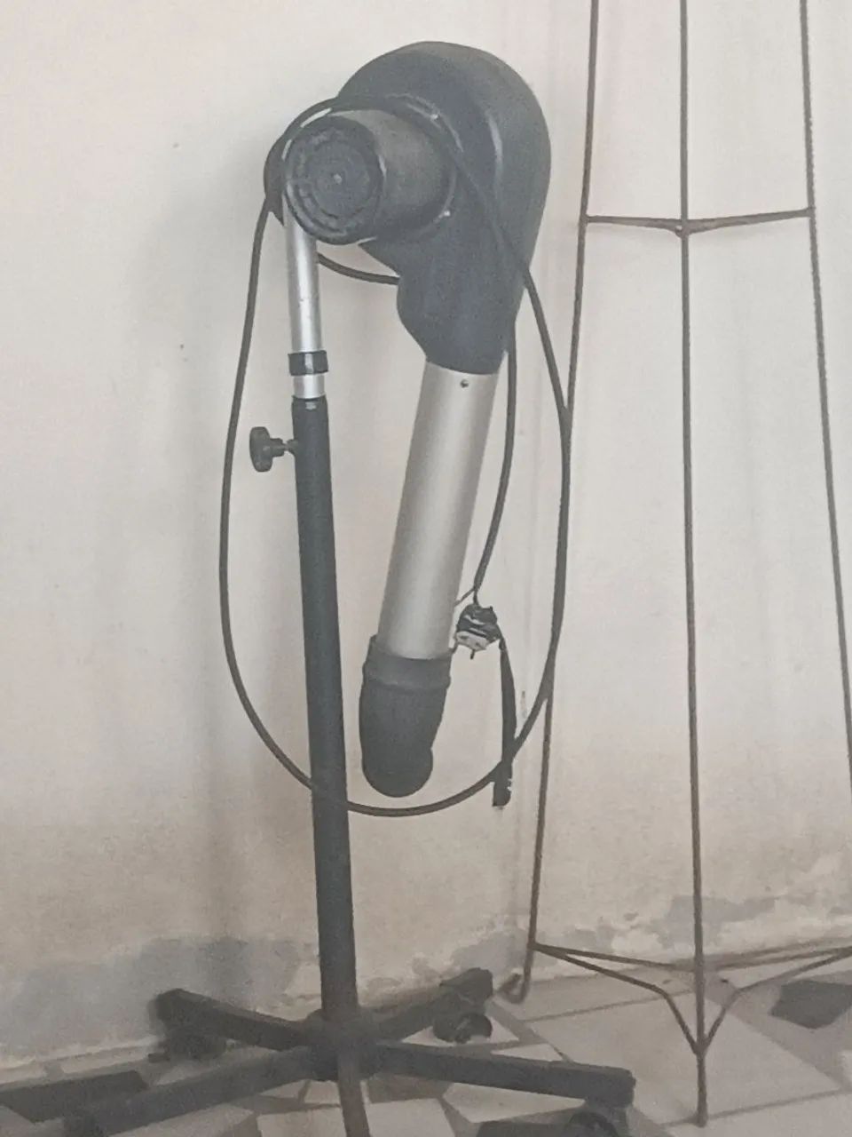 Secador e banheira para pet