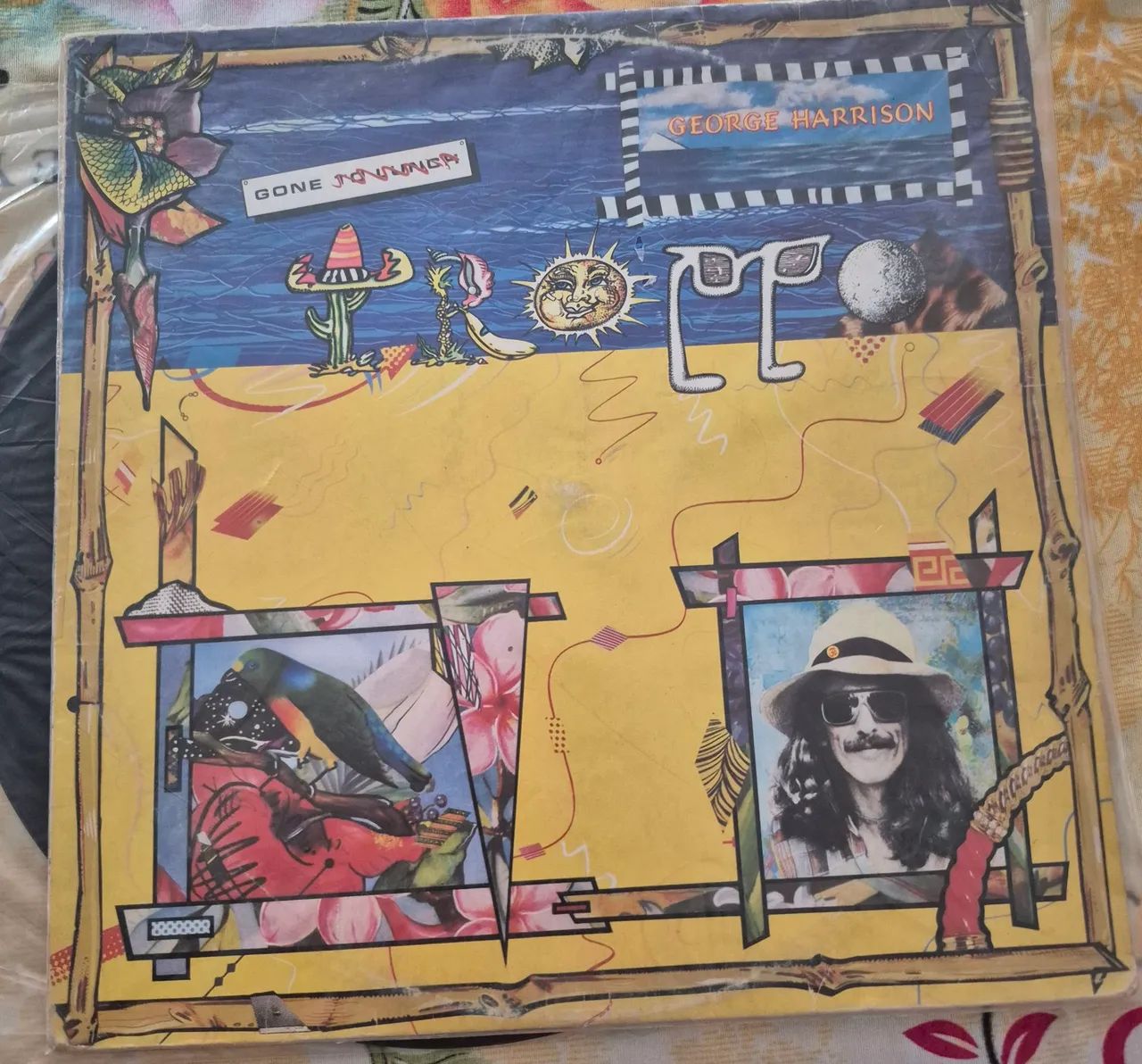 George Harrison gone troppo