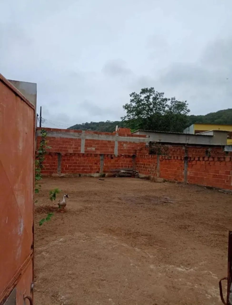Terreno em Cosmos  - Foto 2