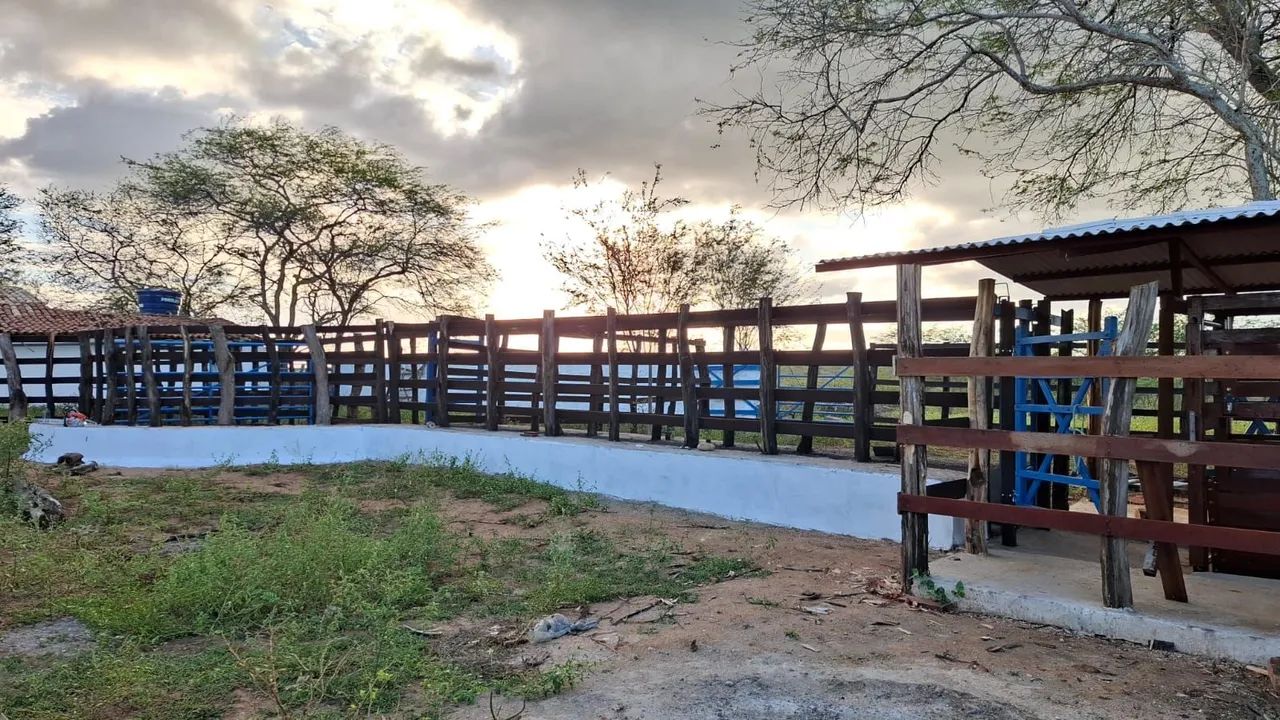 Fazenda barragem - Foto 2