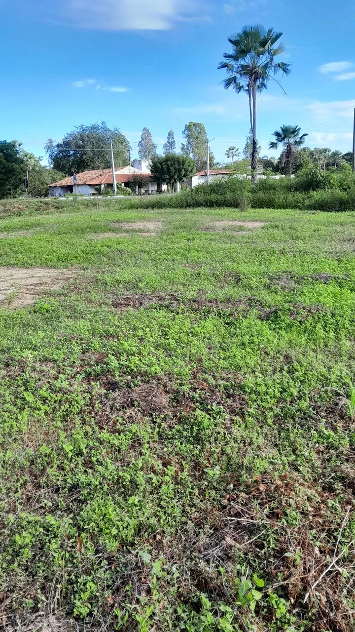 Terreno avenda  - Foto 4