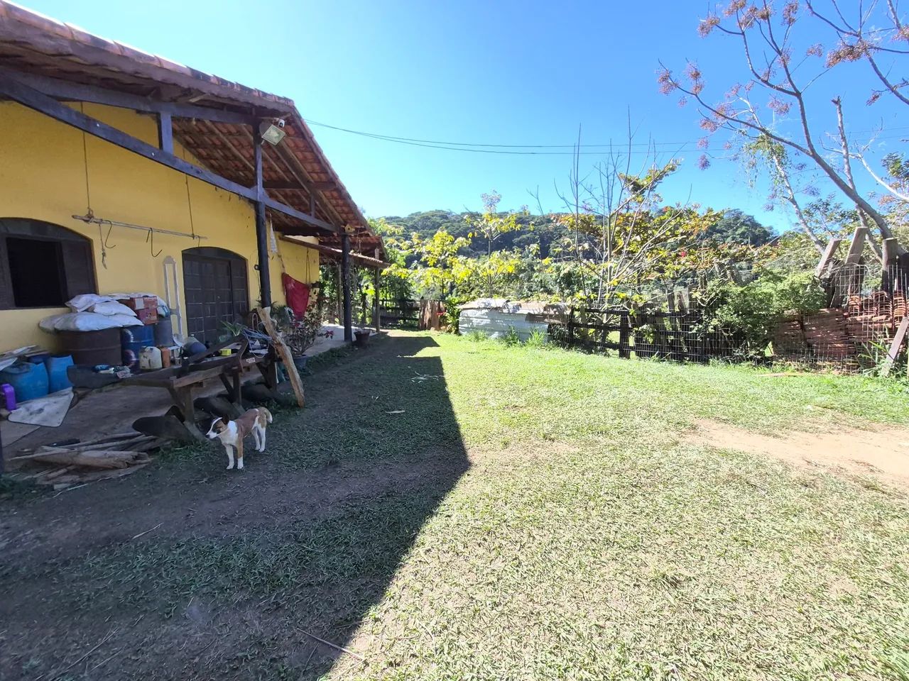 Chácara em silveiras 3000m² - Foto 3