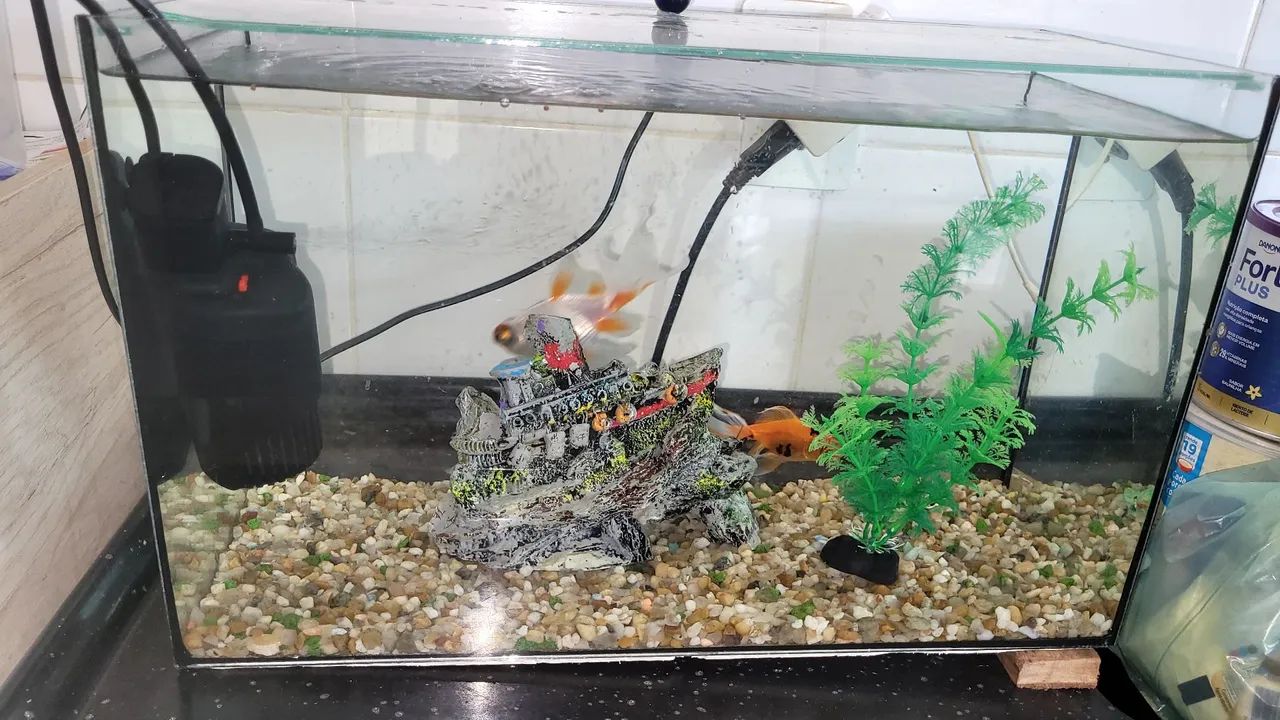 Aquário 50 litros e acessórios  - Foto 4