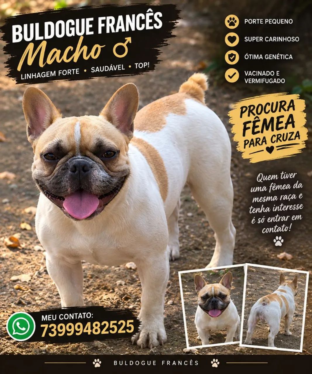 Procura se 