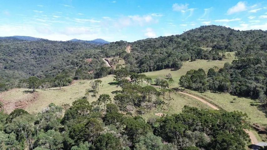 2 HECTARES - R$ 200.000,00 - Foto 3