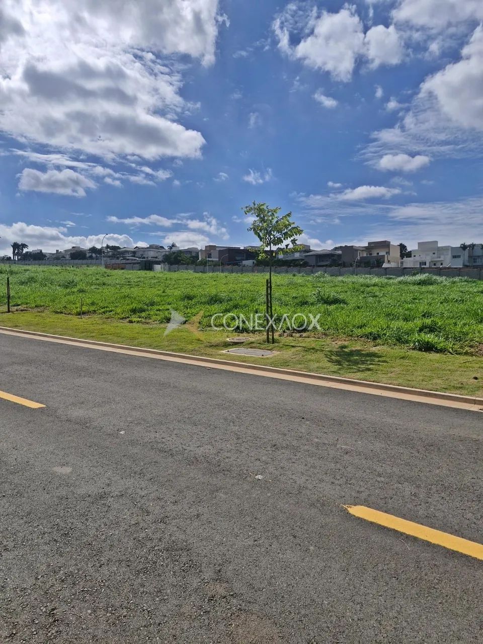 Terreno Venda Condomínio Alphaville Dom Pedro Zero Campinas SP - Foto 4