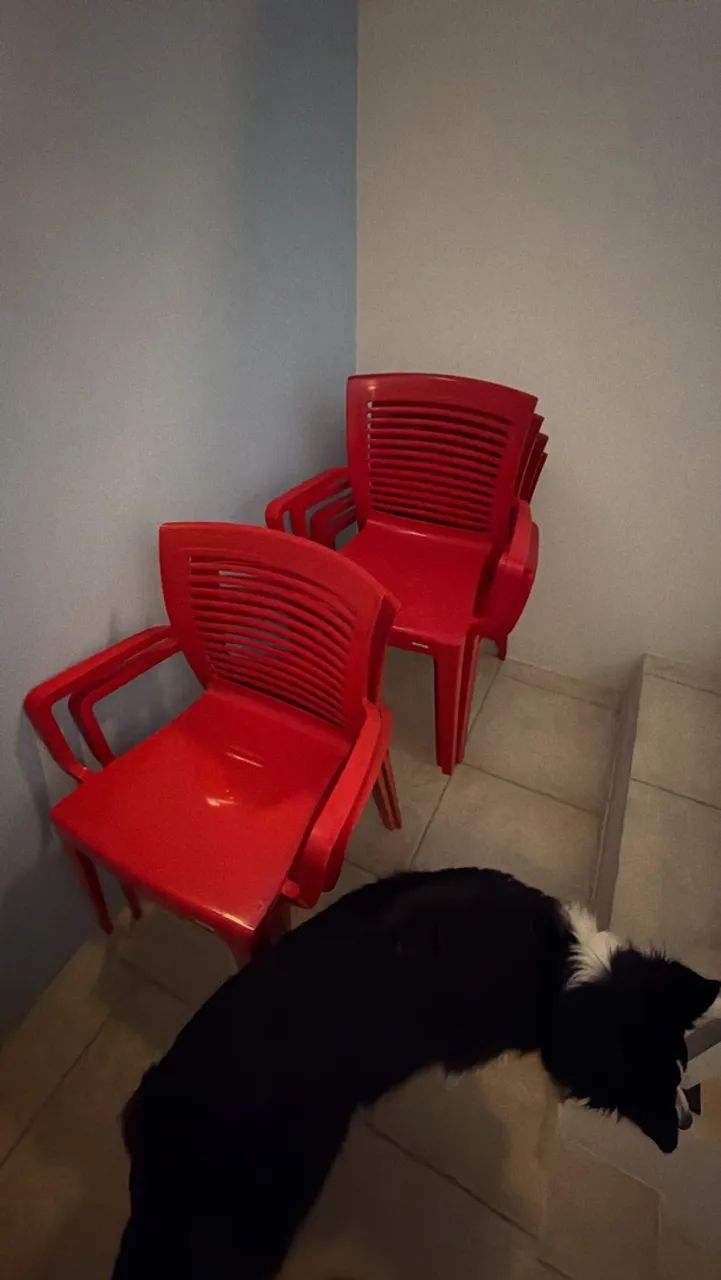 Conjunto de 6 cadeiras Tramontina 