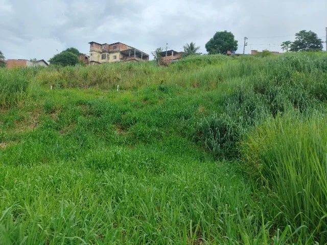 Vendo ou troco Terreno com 350m² - Foto 2
