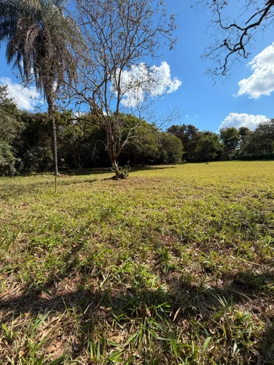 OPORTUNIDADE NO JARDIM DAS MACAÚBAS! - Foto 3