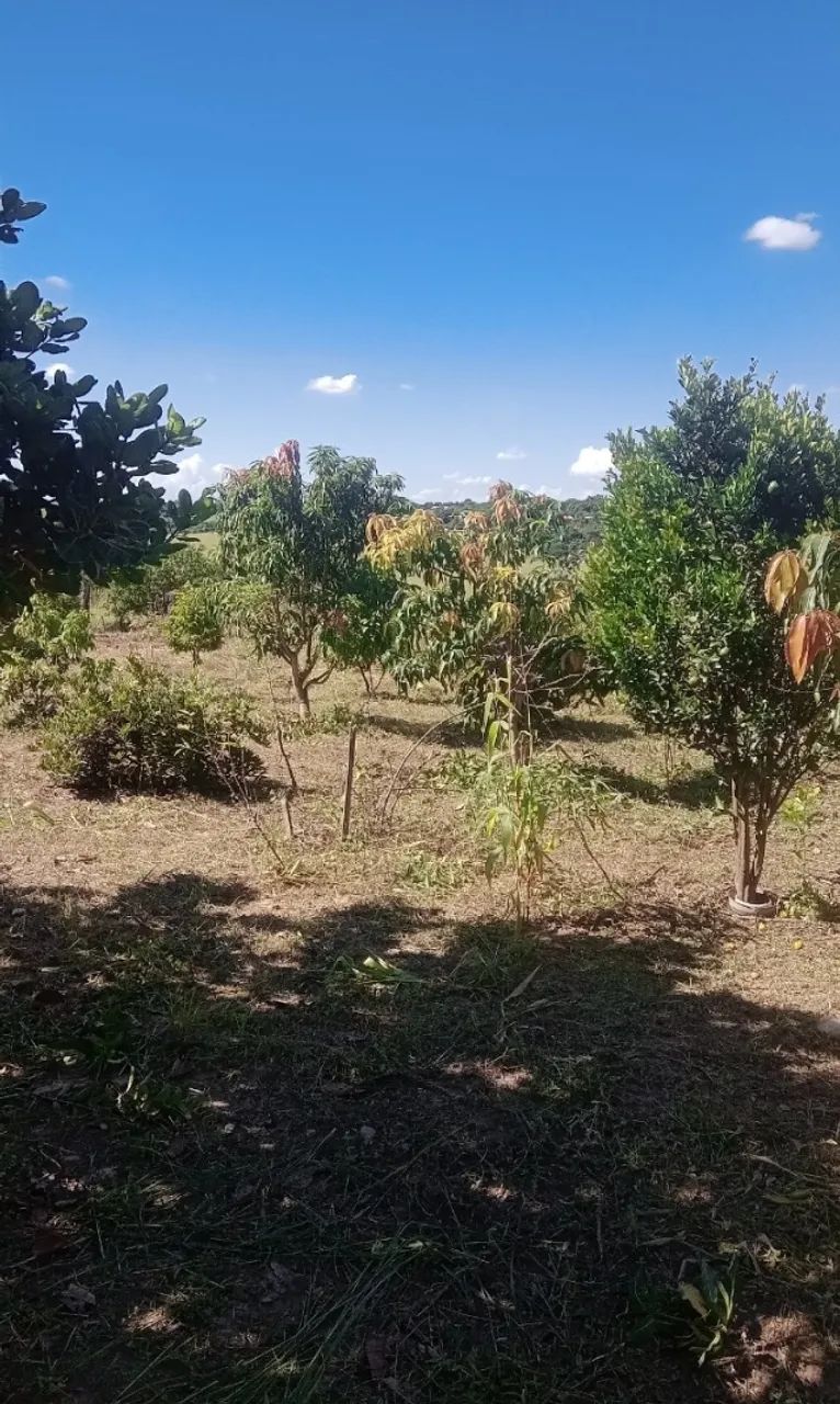 Terreno de Chácara  - Foto 4