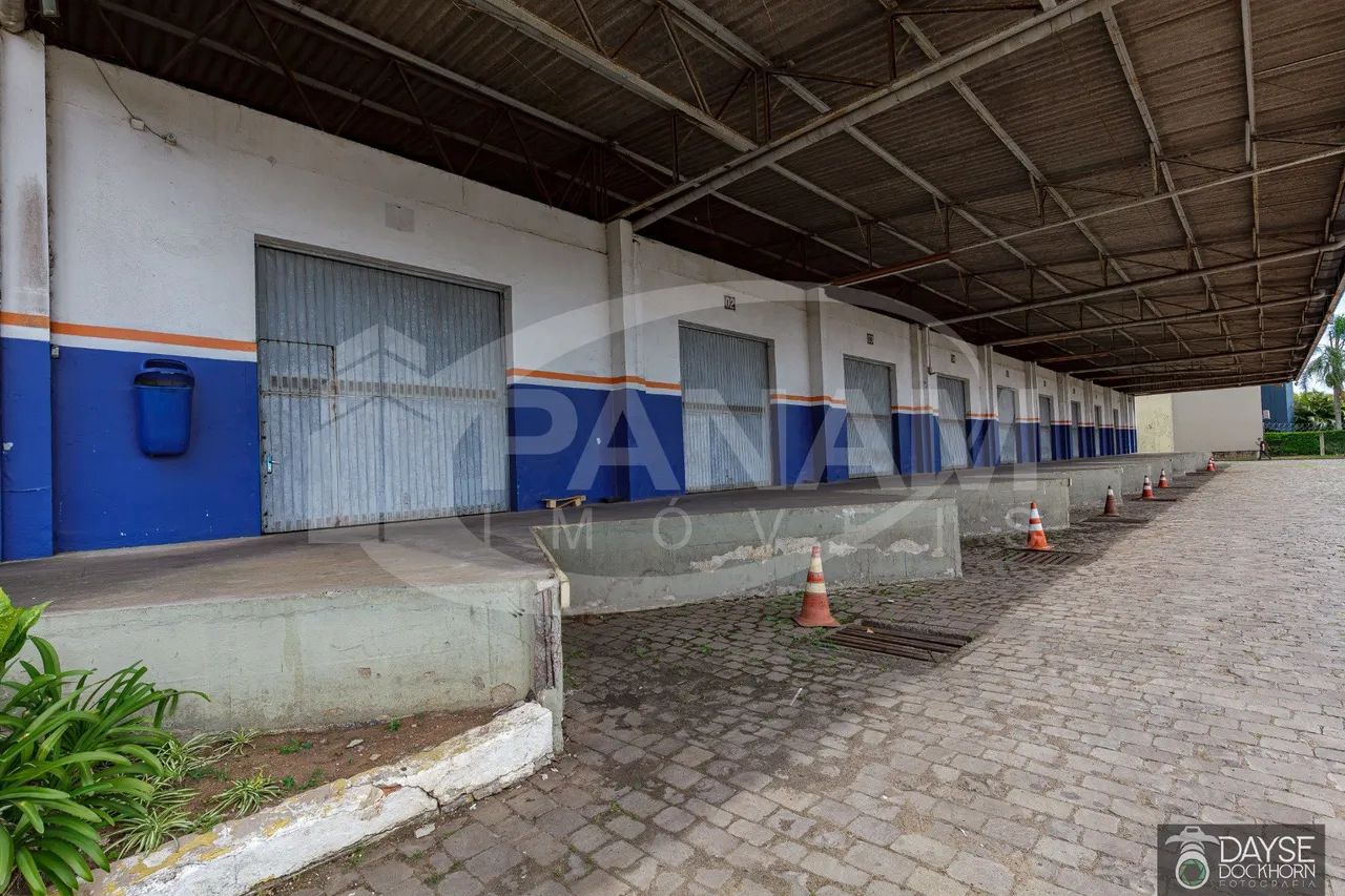 Pavilhão 7.000m2 Plinio Kroeff - Foto 4