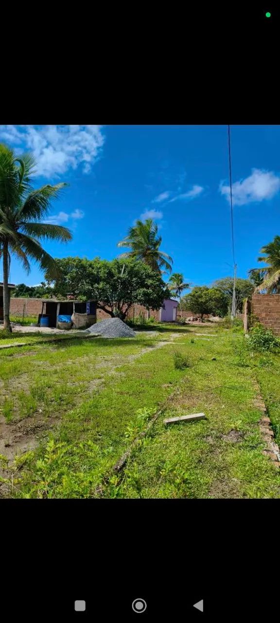 Terreno a 9 km de Porto de galinhas  - Foto 4