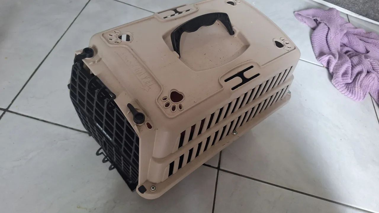 Transportadora de animais 