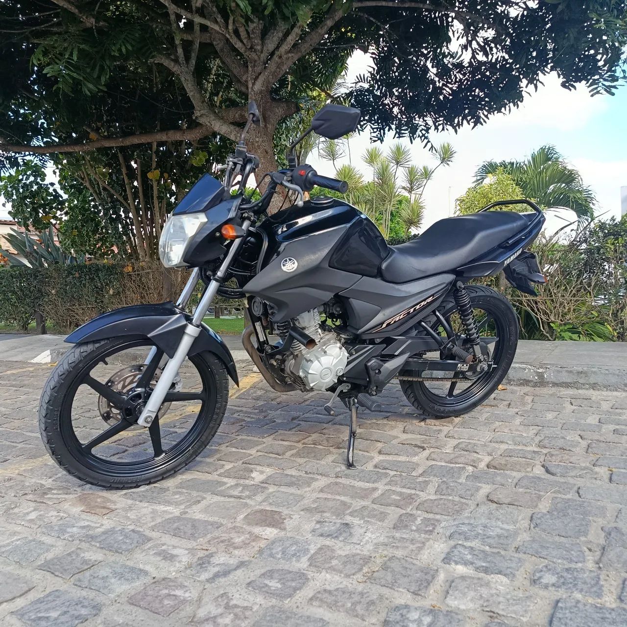 Factor 125 2022