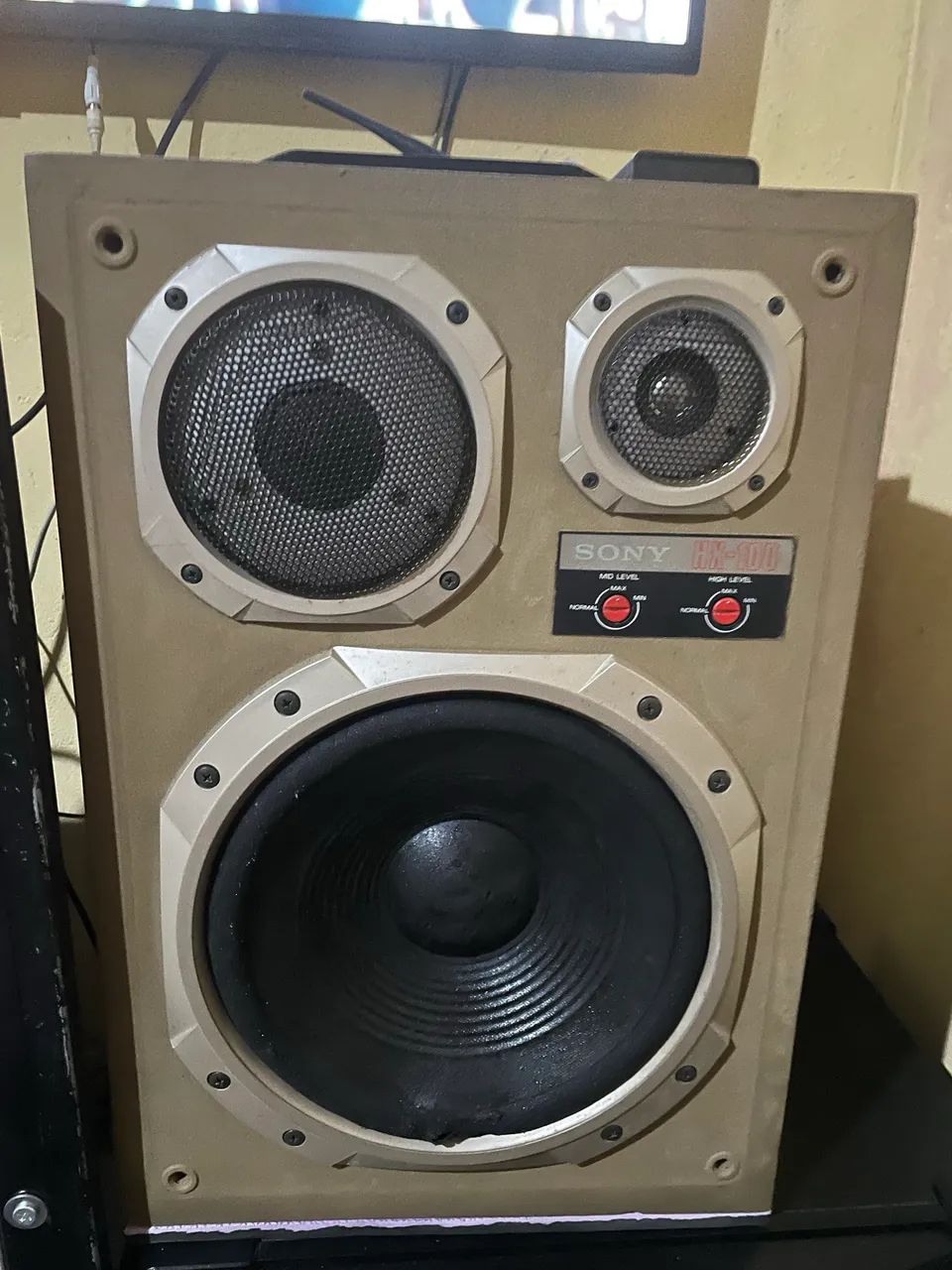 Caixas Sony hx100