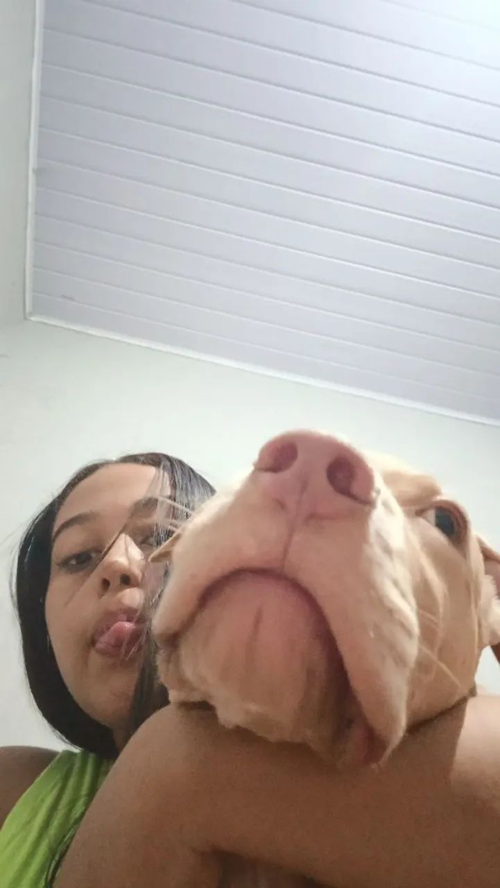 Vendo Pit monster  - Foto 2