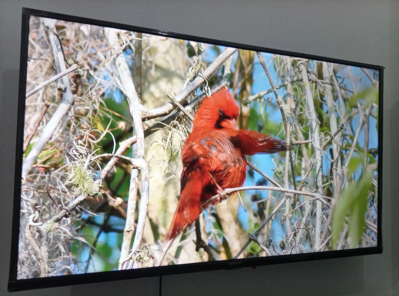 VENDO TV 43 POLEGADAS SMART  - Foto 5