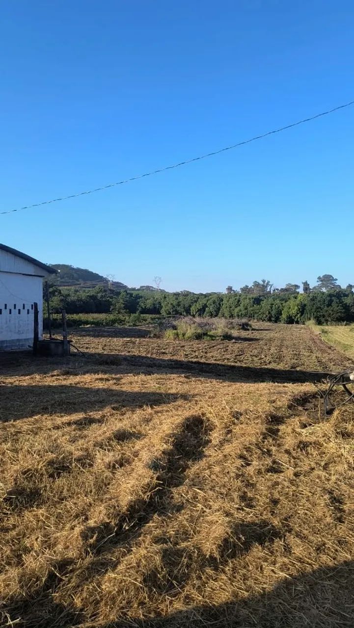SÍTIO EM MONTE ALTO 
