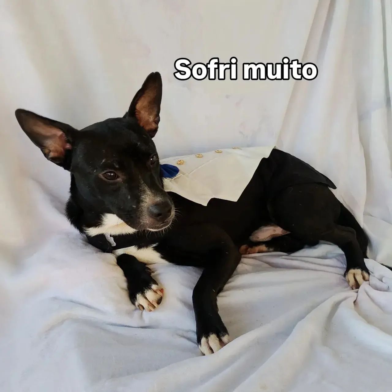 Doação  - Foto 2