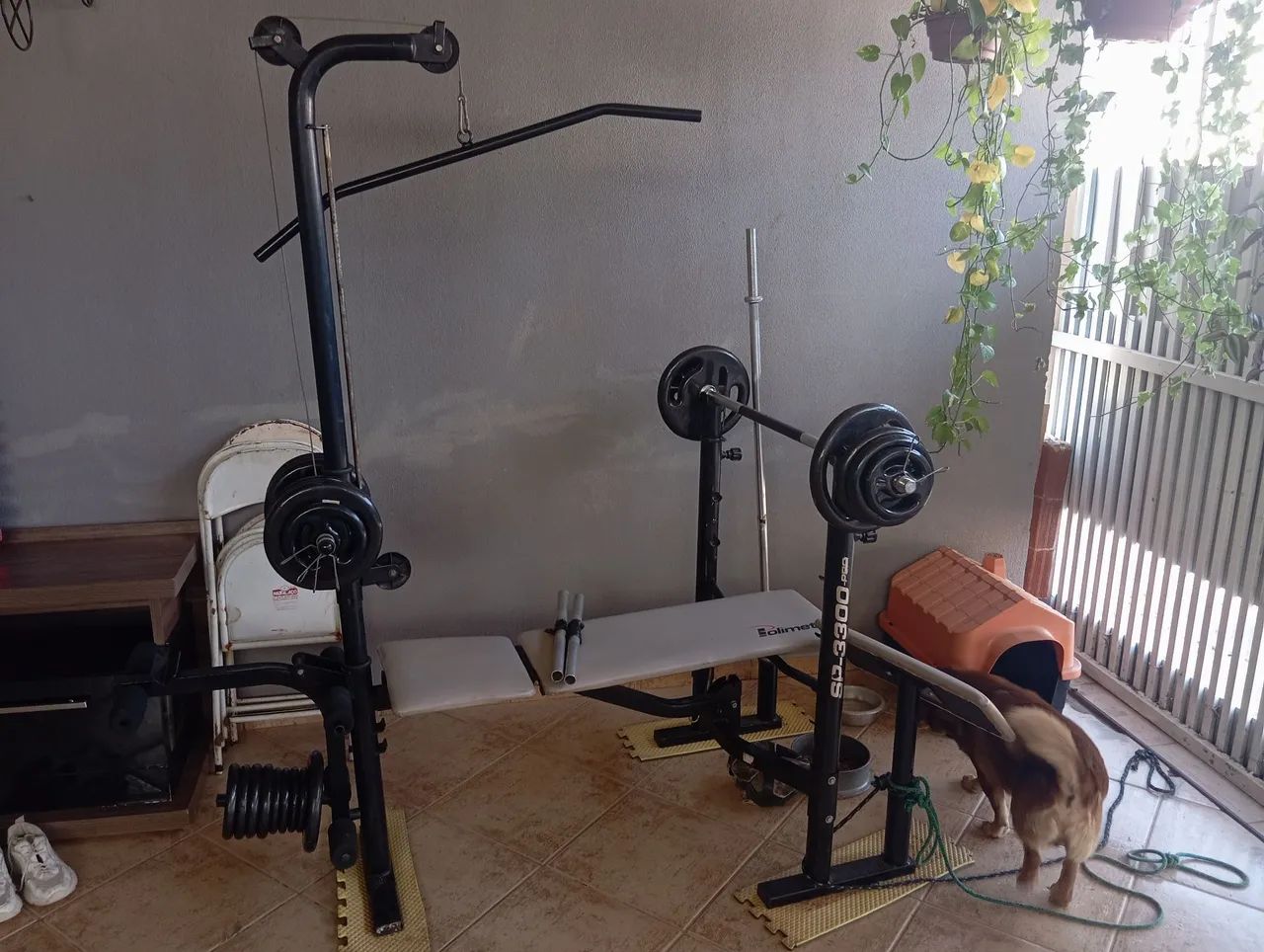 Academia Multifuncional Completa com Barra e Anilhas - Foto 2