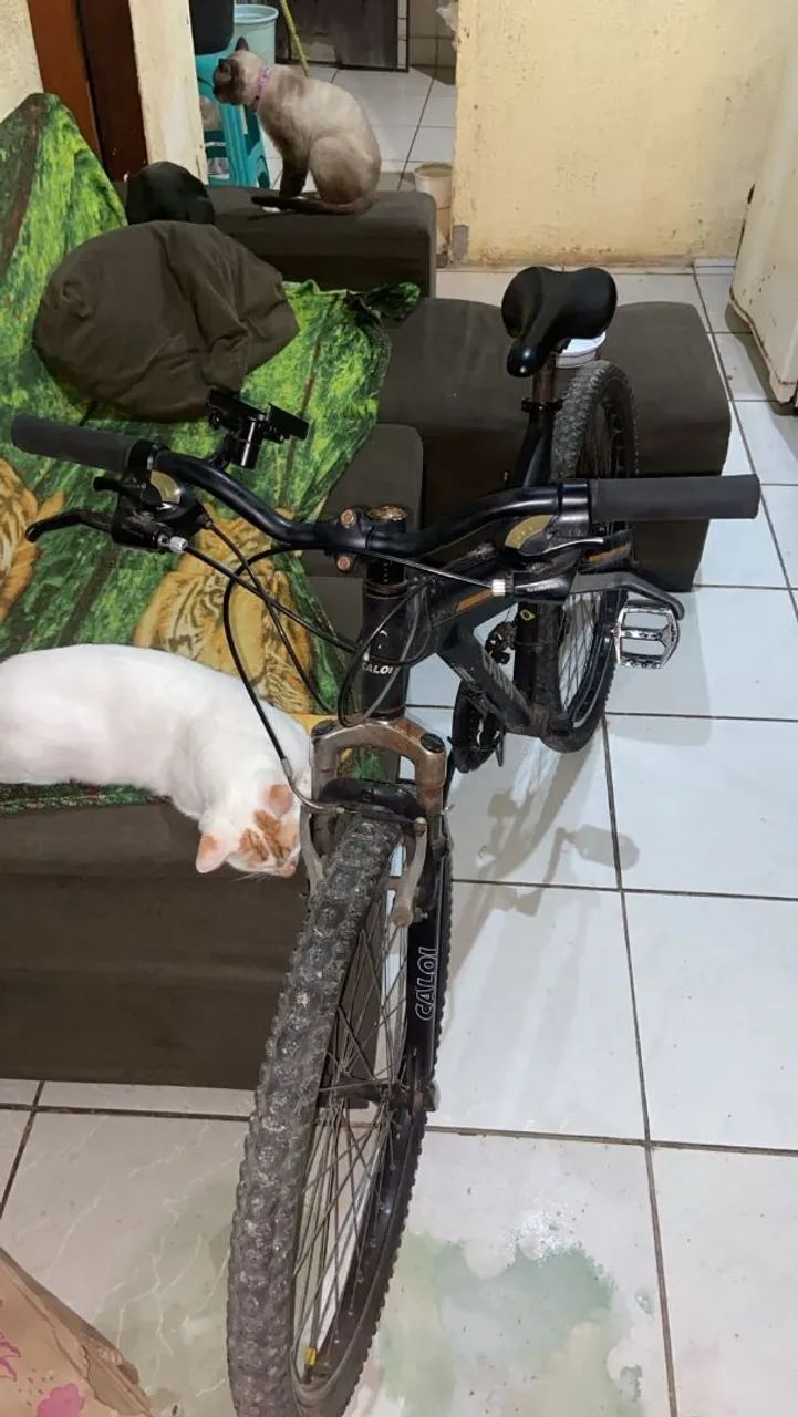 VENDO BIKE CALOI  - Foto 2